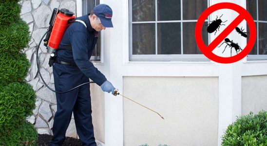 Serik Karınca İlaçlama böcek ilaçlama ve haşere kontrolü — ilaclama-tr.com